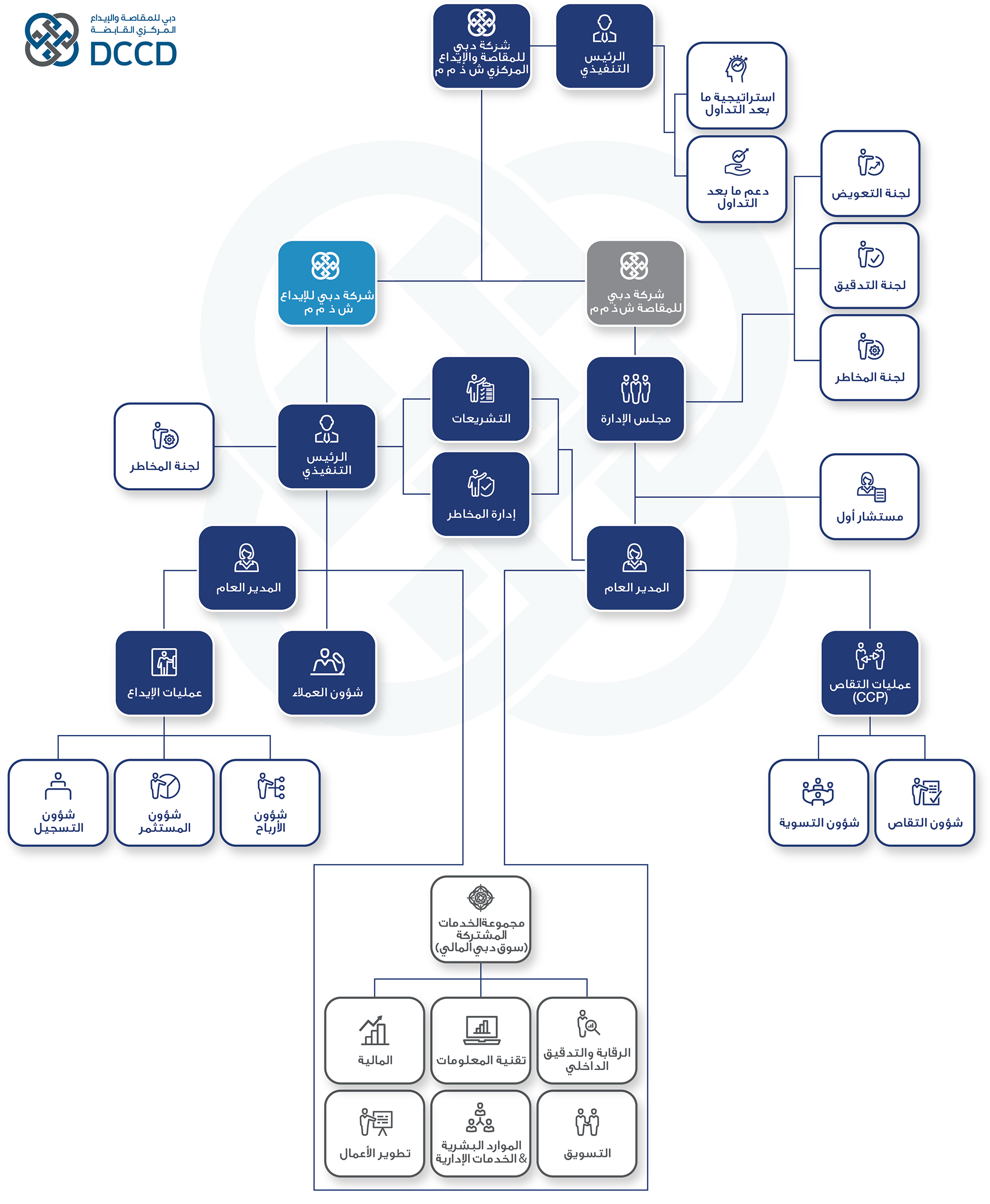 DCCD Organizational Structure